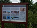 Merzse Marsh Nature Trail, 11th station, 2016 Rákosmente.jpg
