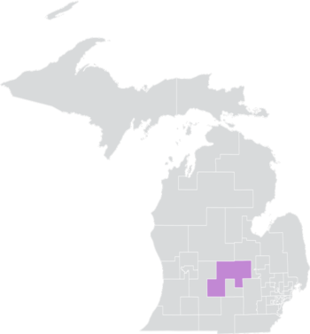 Michigan Senato Bölgesi 24 (2010) .png