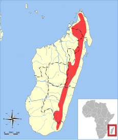 Microgale drouhardi range map.svg