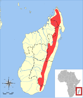 Microgale drouhardi range map.svg