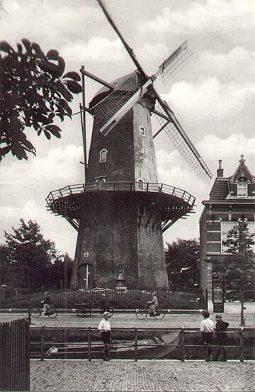 Bestand:Molen_Papagay.jpg