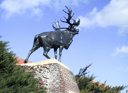 The Caribou at Monchy Le Preux Monchy02.JPG