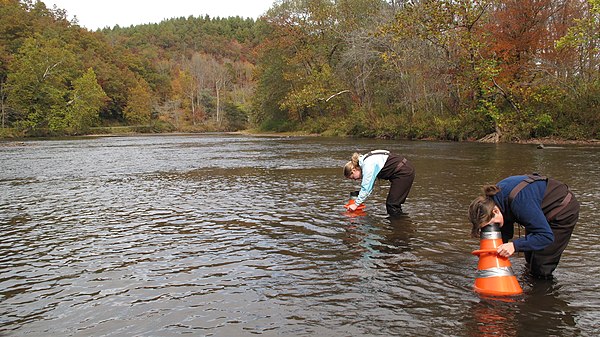 Montreat College students explore the Little Tennessee River