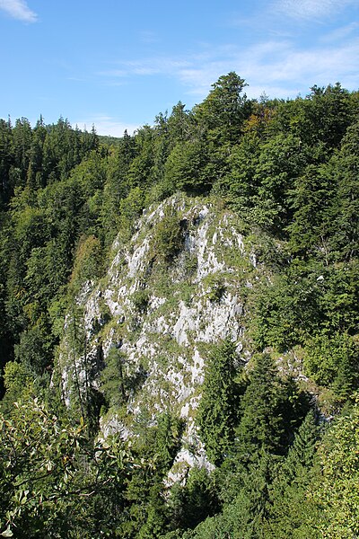 File:Muránská planina, 07 – Poludnica, 2019 (05).jpg