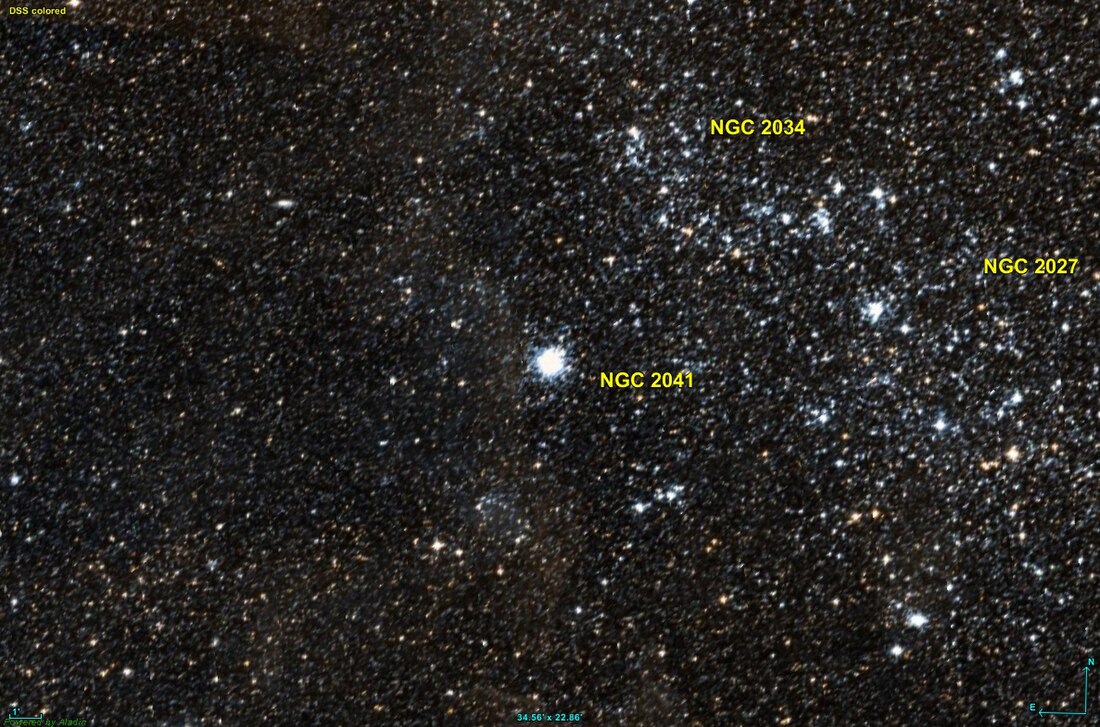 NGC 2041