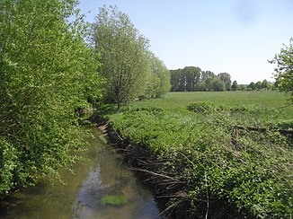 Geseker Bach och naturreservatet påsk Heuland - In den Erlen (maj 2015)