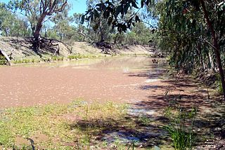 Narran River River in Queensland and New South Wales Australia