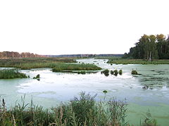 Parque nacional Losiny Ostrov
