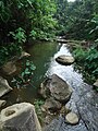 Nature of Langkawi- Malaysia