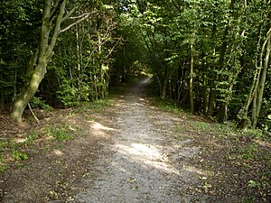 Silberhohl nature reserve 02.jpg