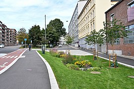 Foto von zwei aufeinander zulaufenden Straßen mit einem Park dazwischen