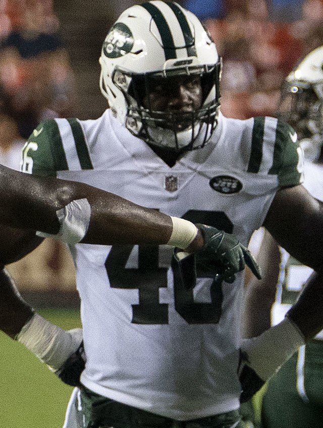 NY Jets: LB Neville Hewitt has returned to the team in free agency