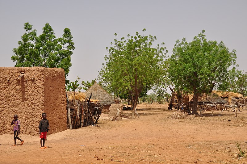 File:Niger, Hamka (2), village scene.jpg