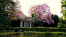 Psychiatry Department, NIMHANS, the apex centre for mental health and neuro studies education in the country. Nimhans garden 4.jpg