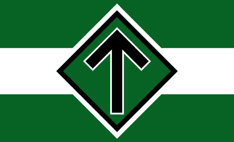 File:Nordic Resistance Movement flag.png