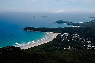 <span class="mw-page-title-main">Norman Island (Victoria)</span> Island in Victoria, Australia