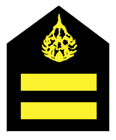 ไฟล์:OR-4_Volunteer_Defense_Corps_Corporal.png