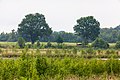 * Nomination Nature reserve “Torfkanal and Randmoore”, Osterholz-Scharmbeck, Lower Saxony, Germany --XRay 03:11, 5 July 2018 (UTC) * Promotion Good quality. -- Johann Jaritz 03:39, 5 July 2018 (UTC)