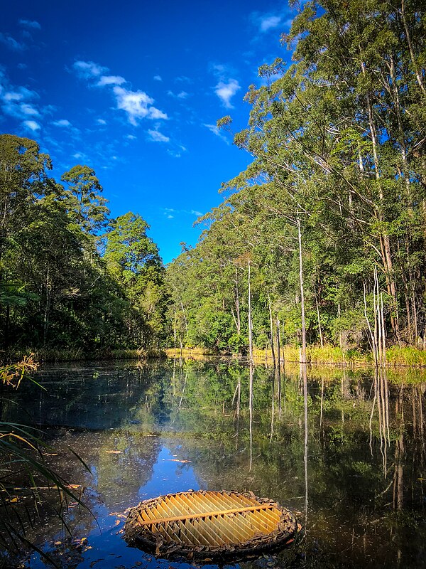 Tanawha, Queensland