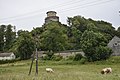 Castle and cows