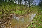 Čeština: Přírodní rezervace Nebrová, okres Ilava