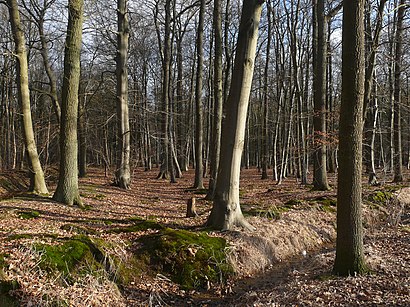 Hoe gaan naar Ulvenhoutse Bos met het openbaar vervoer - Over de plek