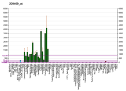 PBB GE GPM6A 209469 bei fs.png