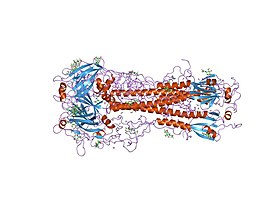 PDB 1hgd EBI.jpg