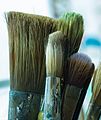 * Nomination Paint brushes. --Rhododendrites 04:15, 10 January 2017 (UTC) * Promotion Good quality. Intentional blurring of back portion of paintbrushes adds to photo quality. --EoRdE6 18:26, 10 January 2017 (UTC)