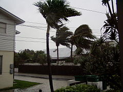 Ураган Вилма в Ки-Уэсте
