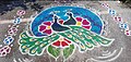 Peacock pair kolam