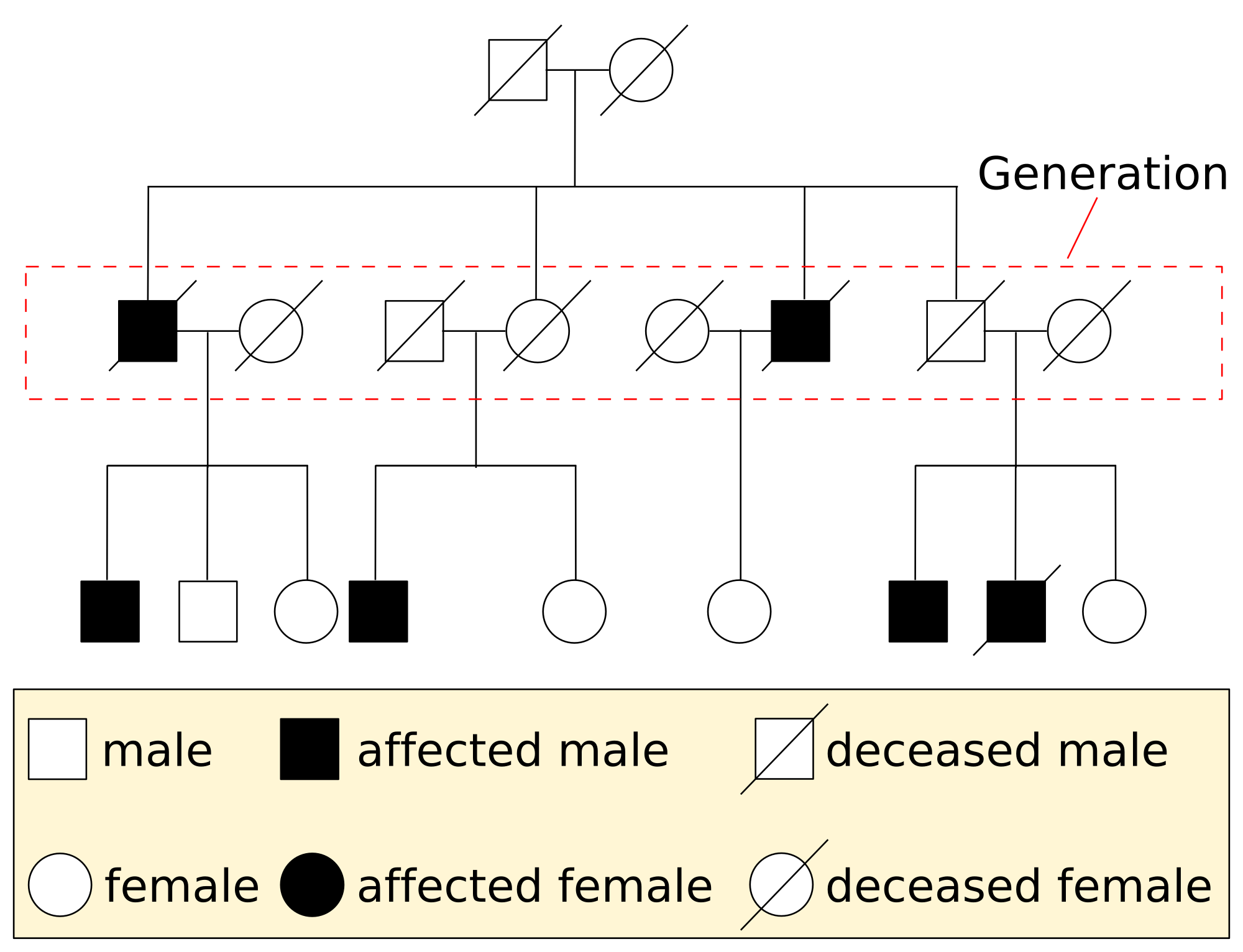 Asthma Pedigree Chart