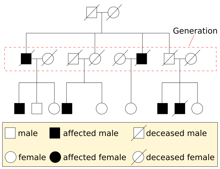Image of a pedigree chart