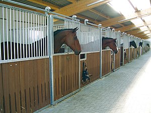 Stall: Typen von Ställen, Ställe im 21. Jahrhundert, Nutzung älterer Stallgebäude