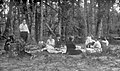 Picnic in una zona boscosa (Harry Walker, fotografo, circa 1900-1949)