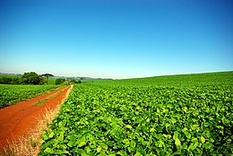 Rio Grande Do Sul: Belangrijke steden, Bestuurlijke indeling, Economie