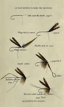 Plate 3 - An easy method to make the Trout-fly (1855) Plate 3 Blackers An Easy Method.JPG