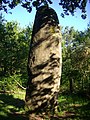 Menhir Quenouille de Gargantua