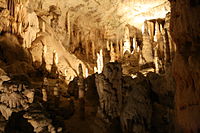 Grotte d'Adelsberg