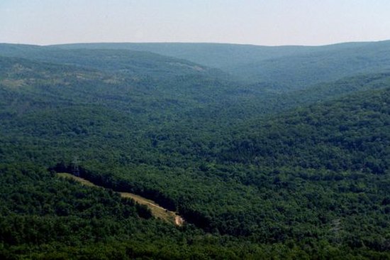 Taum Sauk Mountain is the highest point in Missouri.