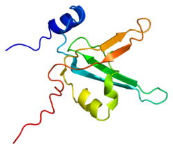 Протеин RPA1 PDB 1ewi.png