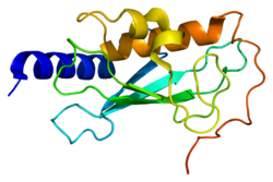 Протеин UBE2V2 PDB 1j74.png