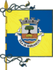 Flag of Barrancos