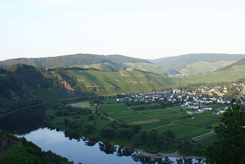 File:Puenderich an der Mosel.jpg