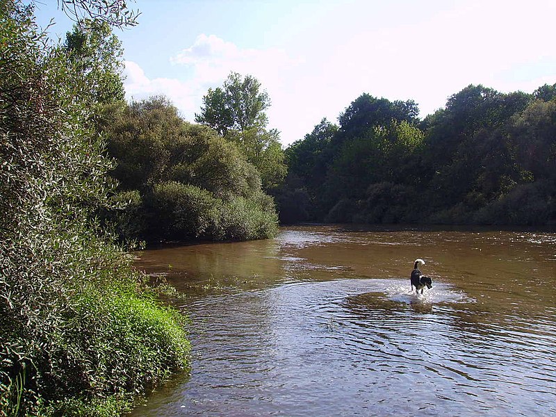 File:Río Alberche (Escalona).JPG