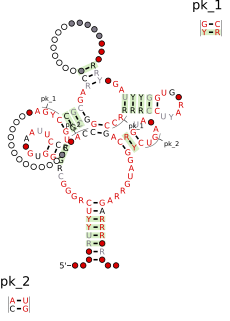 FMN riboswitch