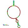 Thumbnail for Small nucleolar RNA Z157/R69/R10