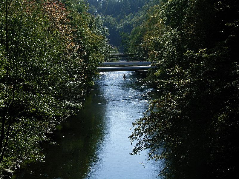 File:Radevormwald Dahlhausen - Wupper 01 ies.jpg