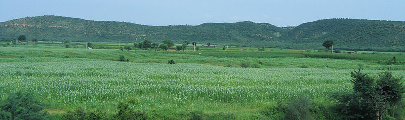 File:Rajastan - Views from an Indian Western Railway journey on a Monsoon Season (31).JPG