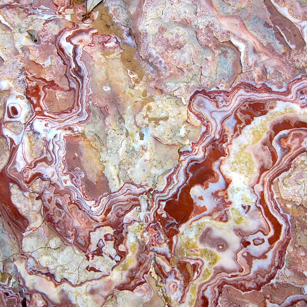 File:Reef Rock.JPG